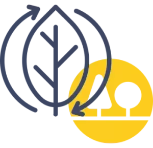 Eco friendly.webp